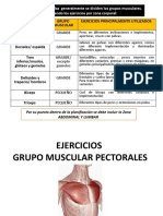 En Las Rutinas Divididas Generalmente Se Dividen Los Grupos Musculares, Agrupando Los Ejercicios Por Zona Corporal