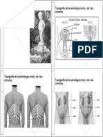 Glomerulopatías .: Topografía de La Semiología Renal y de Vías Urinarias