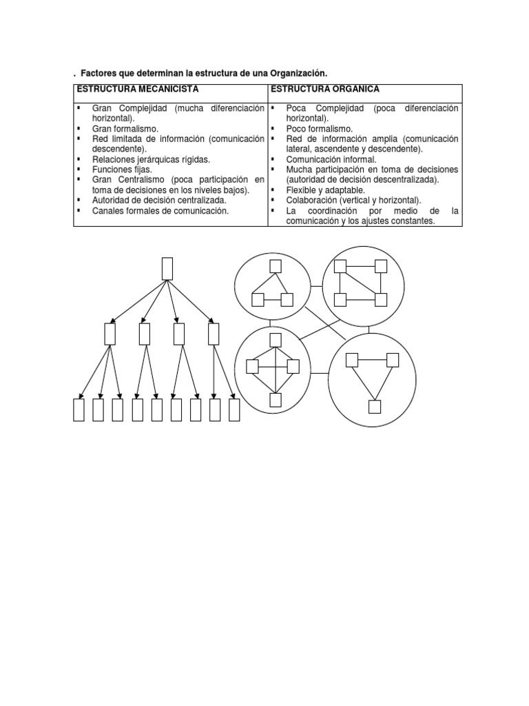 Estructura Organizacional y Modelos | PDF | Burocracia | Comportamiento