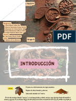Normativa Aplicada A Los Granos de Cacao: Especificaciones Y Requisitos de Calidad