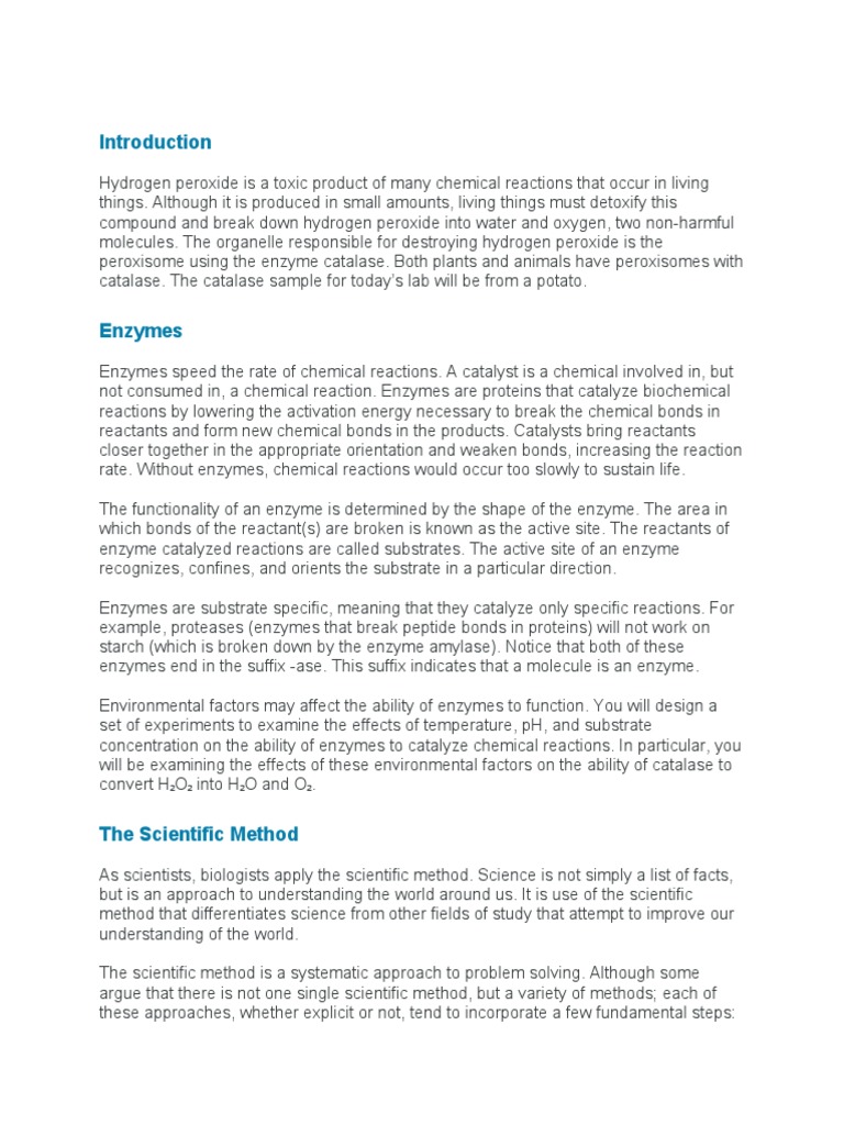 Biology Enzyme Lab PDF Enzyme Scientific Method