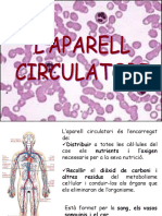 5 LAparell Circulatori