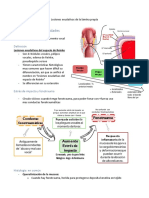 Lesiones exudativas de la lámina propia: nódulos, pólipos, edema de Reinke