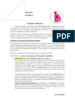 Líquido amniótico: composición, funciones y formación