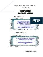Proyecto:: Municipalidad Provincial de Puno