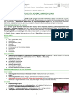 Faringe I y II - Patología Adenoamigdaliana (28-03)