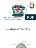 Cirugia de Torax y Cardiovascular Anatomia