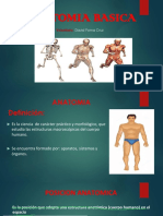 Anatomia Basica