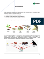 Cadeias Alimentares Teias Troficas Extensivo