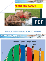 Proyecto Integral A.mayor