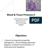 Blood & Tissue Protozoa-II: Prof - Dr.Shaheen Sharafat MBBS.M.Phil PH.D Dept - of Pathology LNH&MC
