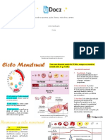 Accede A Apuntes, Guías, Libros y Más de Tu Carrera: Ciclo-Menstrual-1 2 Pag