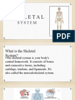 Skeletal: System