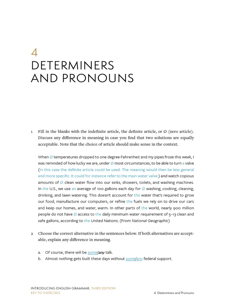 Key Chapter4 PDF English Grammar Noun