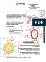 Semana 1 y 2