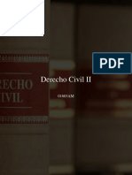 Derecho Civil II