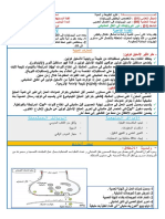 13. دور البروتينات في النقل المشبكي - Copie