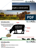 2-Bioenergética y Nutrición Animal