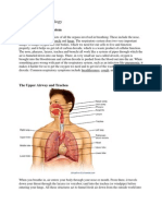 Anatomy and Physiology: Human Respiratory System