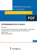 Teoria Upao Determinantes Sociales