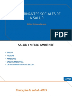 S2 PPT Teoria Salud Ii