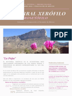 Matorral Xerófilo - Rosetófilo - LAP - UNAM