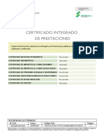 Informe Integrado Prestaciones Elisa