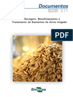 Colheita, secagem e tratamento de sementes de arroz irrigado