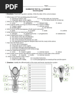 Female Reproductive System Worksheet - Answers | PDF