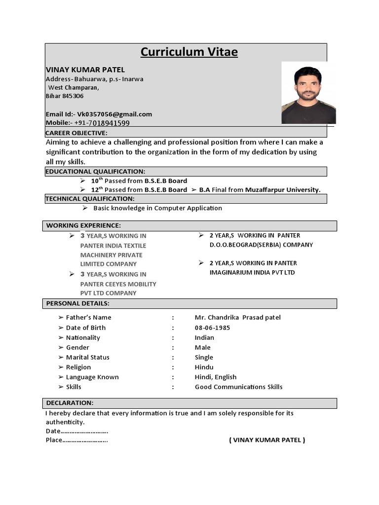 Vinay Kumar Patel's CV | PDF