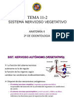 Sistema Nervioso Vegetativo: TEMA 11-2