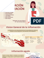 Inflamación y reparación tisular: procesos celulares y moleculares