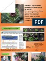 UNIDAD 7: Regulación Del Crecimiento y Desarrollo de Las Plantas