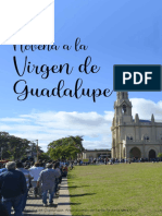 Novena Virgen de Guadalupe - Texto Completo