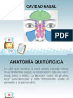Anatomía quirúrgica de la cavidad nasal