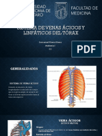 Sistema Ácigos y Linfáticos