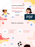 Metodologias Didacticas: Concepciones Pedagogicas