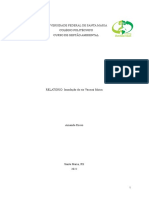 Universidade Federal de Santa Maria Colégio Politécnico Curso de Gestão Ambiental