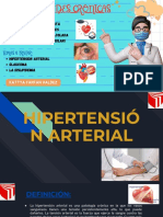 Enfermedades Crónicas Desde La Salud Pública