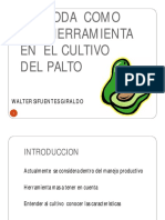 Poda de Paltos