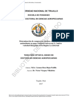 DE Posgrado: Universidad Nacional de Trujillo