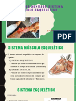 Primeros Auxilios Sistema Musculo-Esquelético: M.V.Esp. Carlos Merino