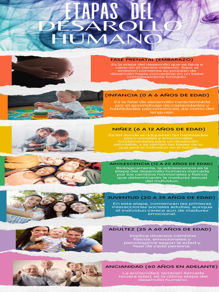 Etapas del Desarrollo Humano | PDF | Relaciones personales, crianza y ...