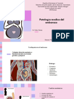 Patologia Medica Del Embarazo Nghelen