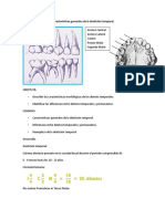 Materiales Complementarios - ICBP002 M.C. Dientes Temporales