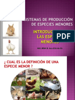 Animales Menores Sesion1