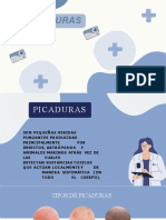 Picaduras: Presentado Por: Daniela Ayala Laura Pacheco Esteban Hernandez
