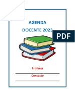 Agenda DOCENTE 2023: Profesor Contacto