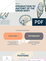Introduction to the Anatomy and Physiology of the Human Body