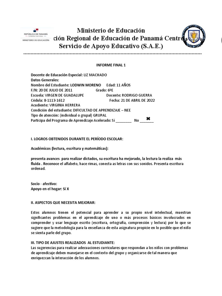 Informe Final de Estudiantes NEE | PDF | Aprendizaje | Educación especial